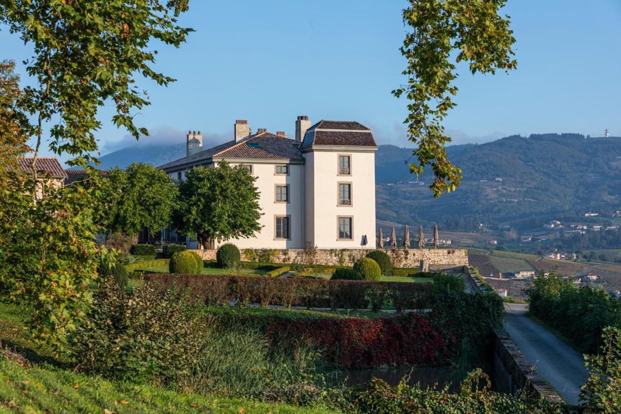 Chateau Du Souzy Quincié-en-Beaujolais Dış mekan fotoğraf