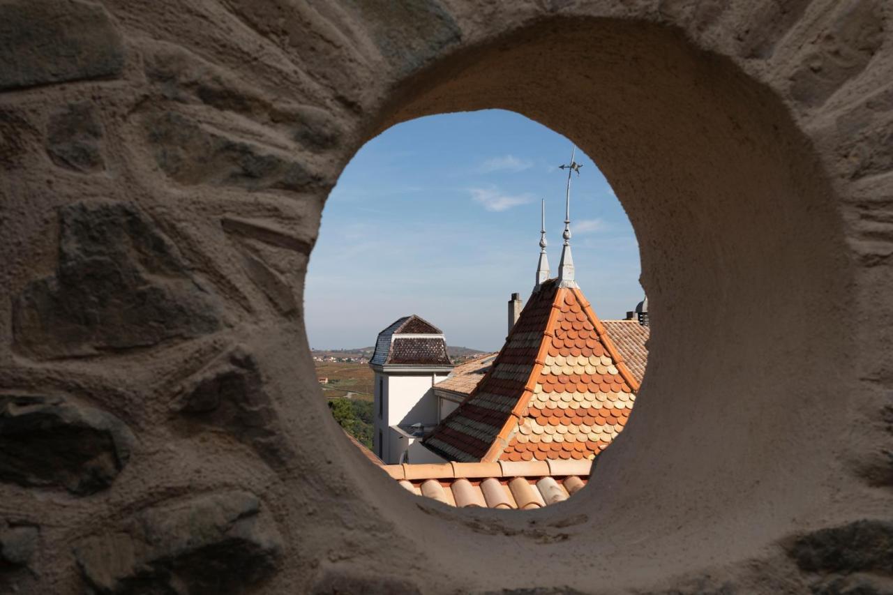 Chateau Du Souzy Quincié-en-Beaujolais Dış mekan fotoğraf